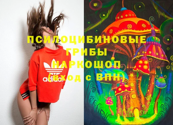 амф Вяземский