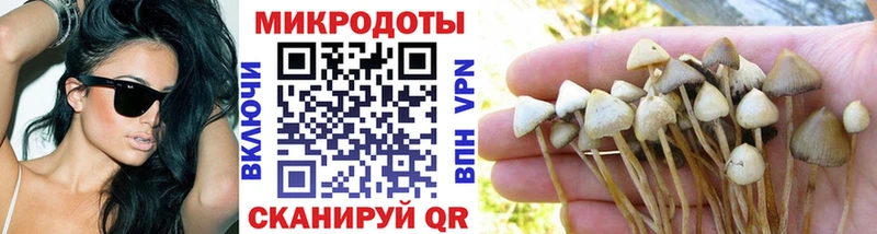 Псилоцибиновые грибы Psilocybe  Осинники 